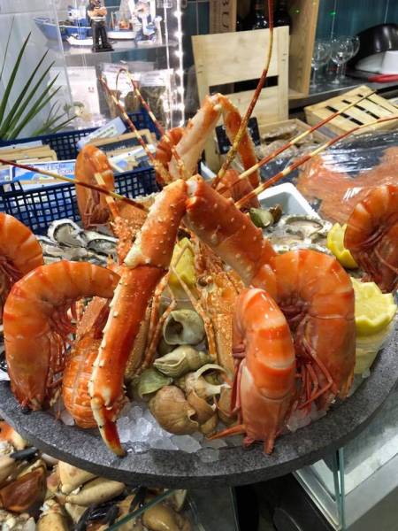 Plateaux de fruits de mer sur mesure pour vos occasions ou repas à Saint Raphaêl
